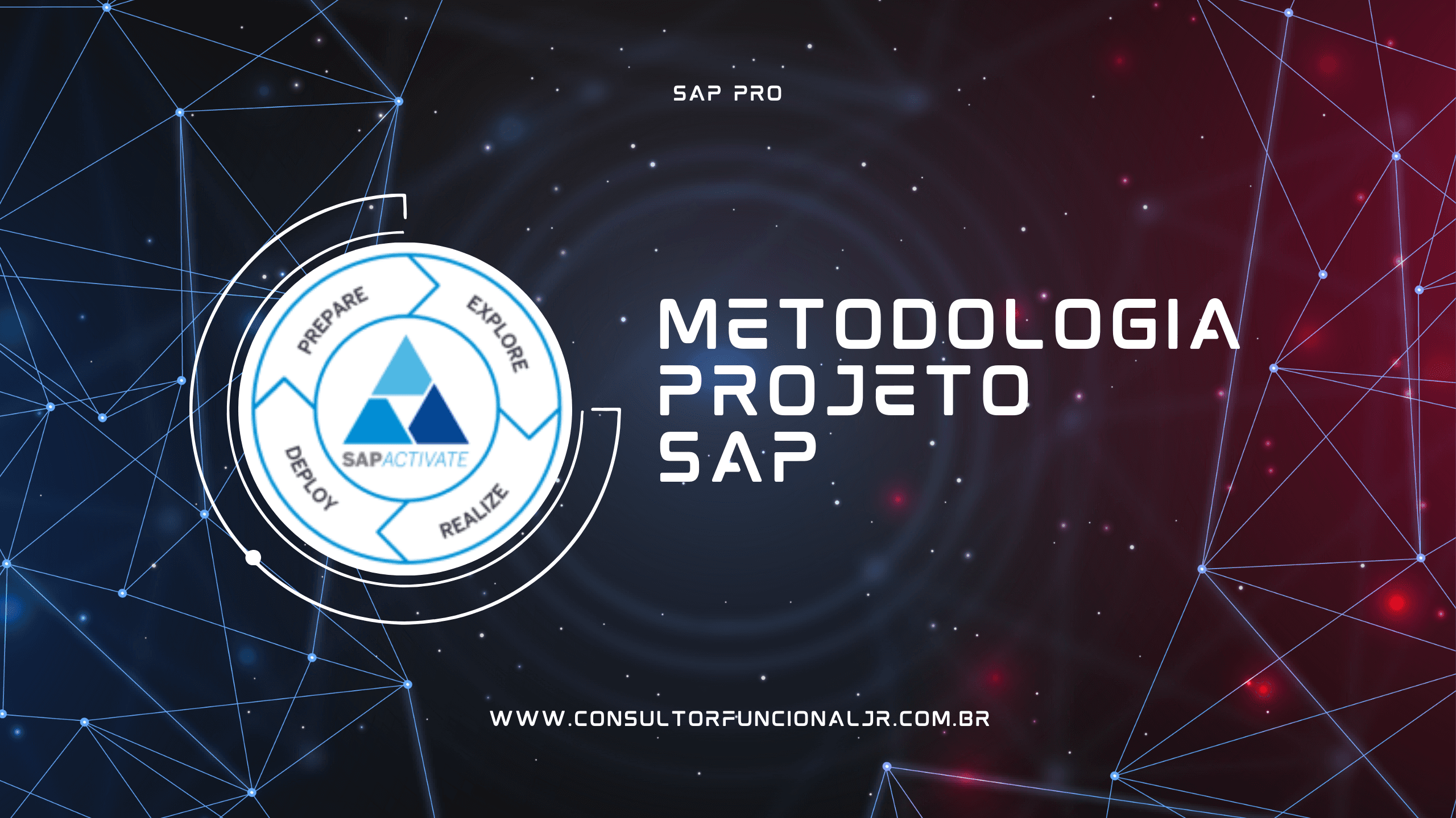 Como funciona um projeto SAP?