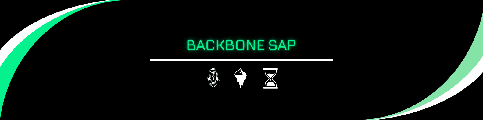 Backbone SAP FI AA